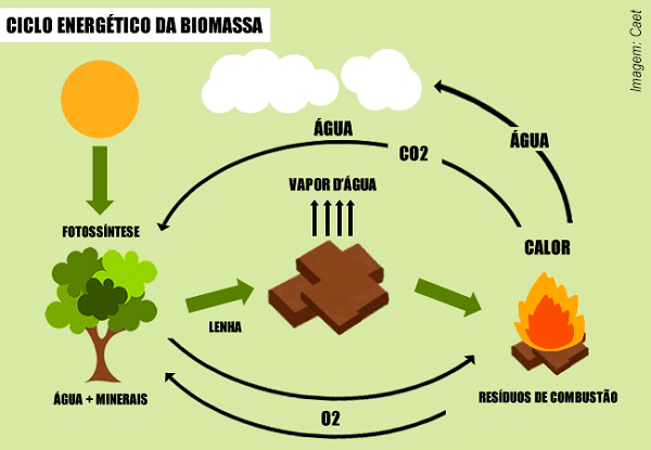 Biomassa no Brasil gera energia capaz de abastecer Ribeirão Preto por 14 anos