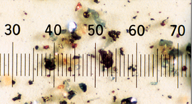 Fotomicrográfica da partícula contaminante. (Ampliado 100x Escala: 1 divisão = 20 mícrons)